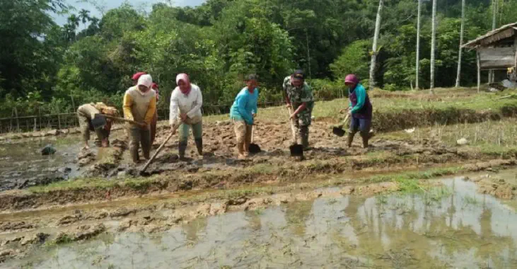 The workers plowing the land