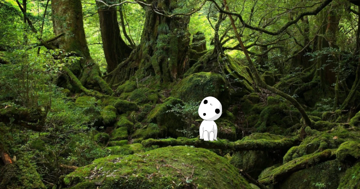 Kodama