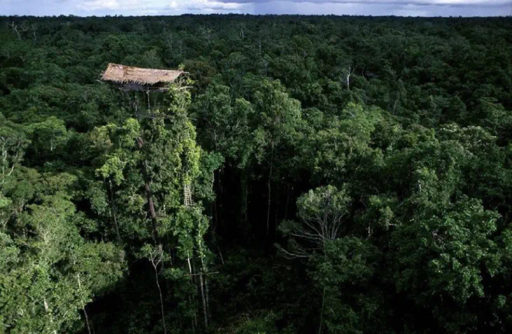 Abandoned indigenous house in Indonesia